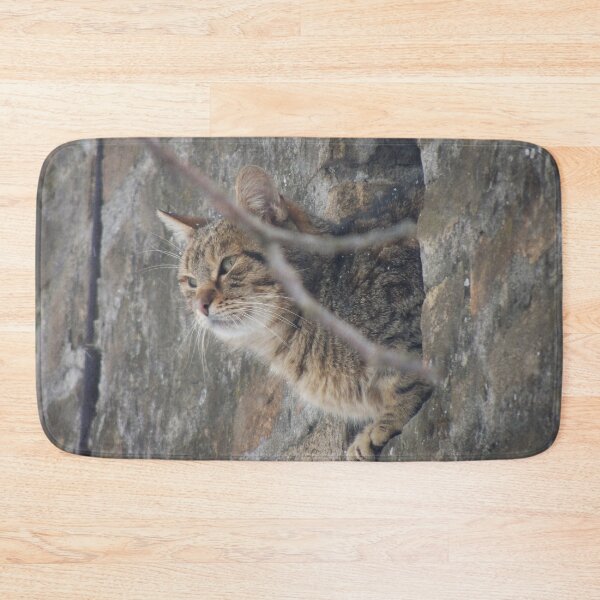 Item preview, Cat view designed and sold by Kissart.