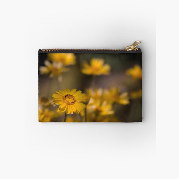 Artikelvorschau, Desert Daisies entworfen und verkauft von TeresaB.