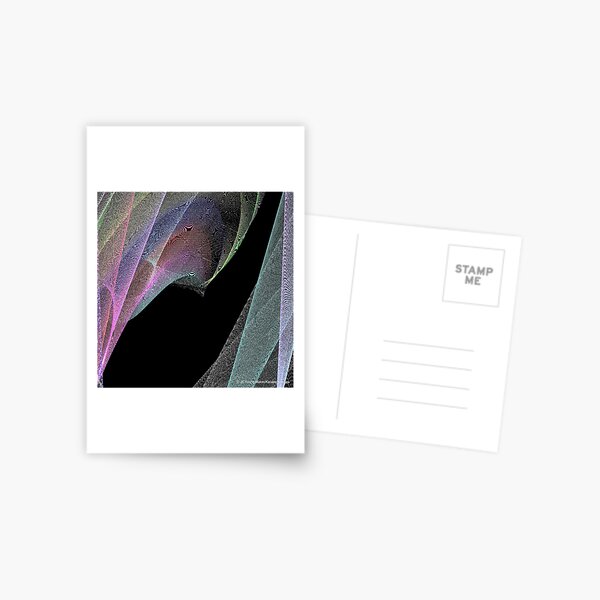 Unveiled Postcard
