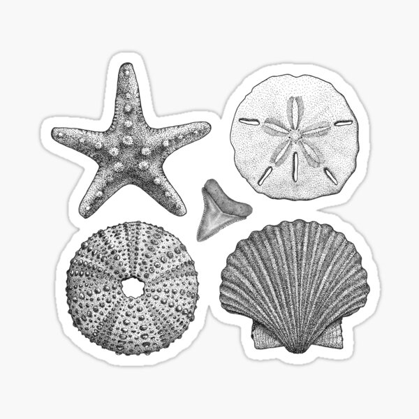 Item preview, Nautical Menagerie designed and sold by laurenicole-art.