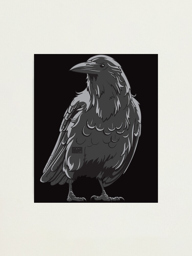 SIMPLE RAVEN CROW BLACK BIRD BIRDS BIRDING HALLOWEEN ANIMAL Photographic  Print
