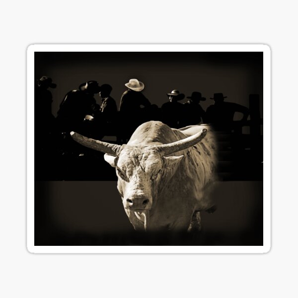 BULL RIDERS-A WHOLE LOT OF BULL Sticker