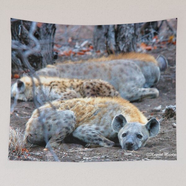 Item preview, HAPPY and well fed HYENA'S - Crocuta crocuta designed and sold by Magriet Meintjes.
