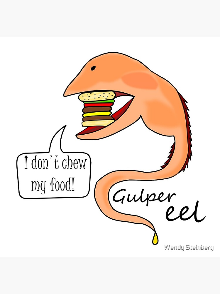 Gulper eel no mastica su comida de WendySteinberg