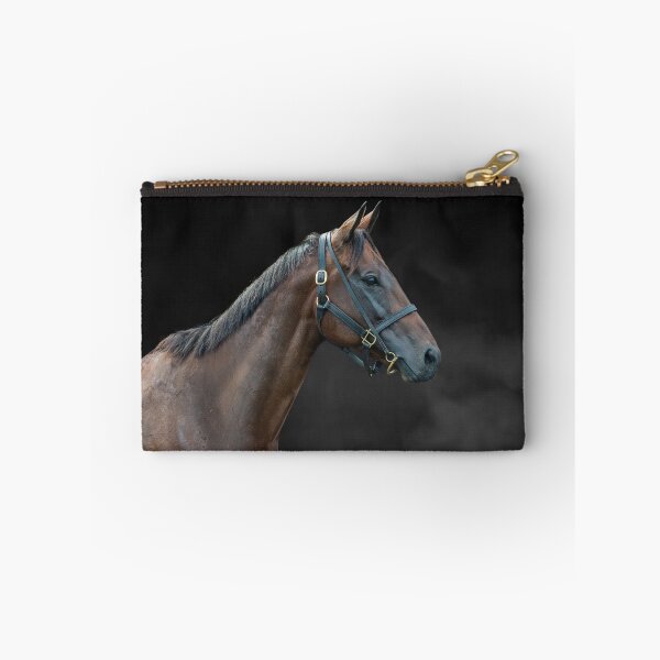 Item preview, Winx - Colour - The Rosehill Farewell  designed and sold by FastTrackPhotog.
