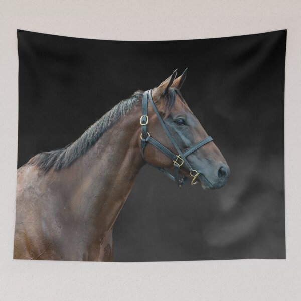 Item preview, Winx - Colour - The Rosehill Farewell  designed and sold by FastTrackPhotog.