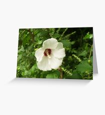 Tranquil Beauty Greeting Card