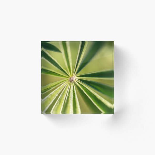 Lupine Leaves Acrylic Block