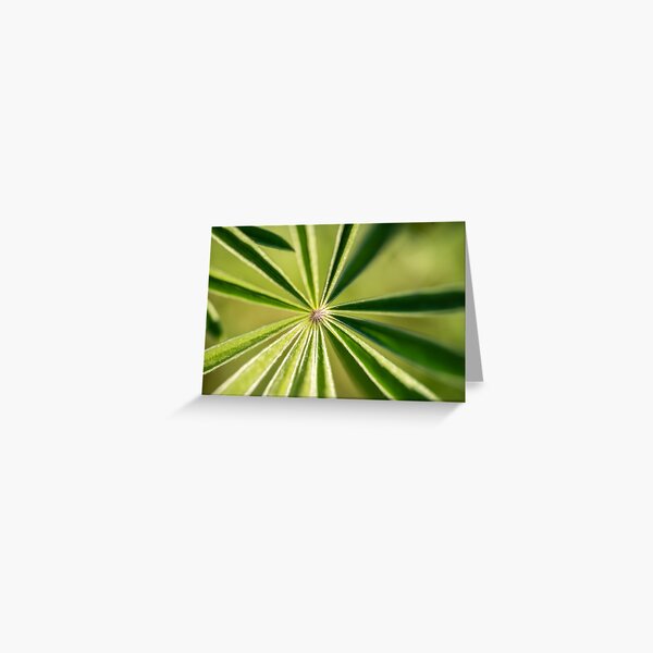 Lupine Leaves Greeting Card