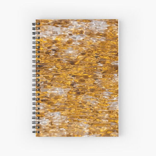 Canary Springs Orange Spiral Notebook