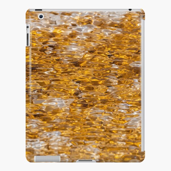 Canary Springs Orange iPad Snap Case