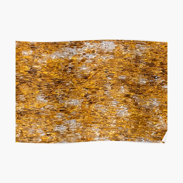 Canary Springs Orange Poster