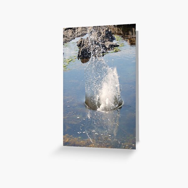 Item preview, Splash designed and sold by Peter Green.