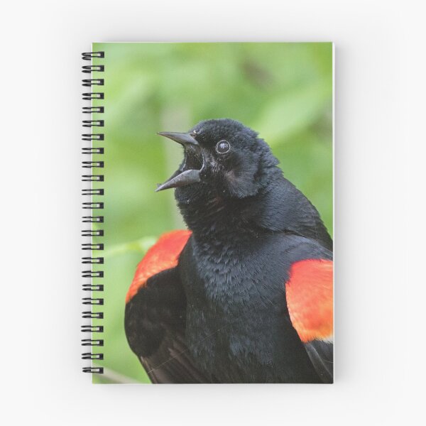 Item preview, Red-Winged Black Bird Singing designed and sold by WorldDesign.