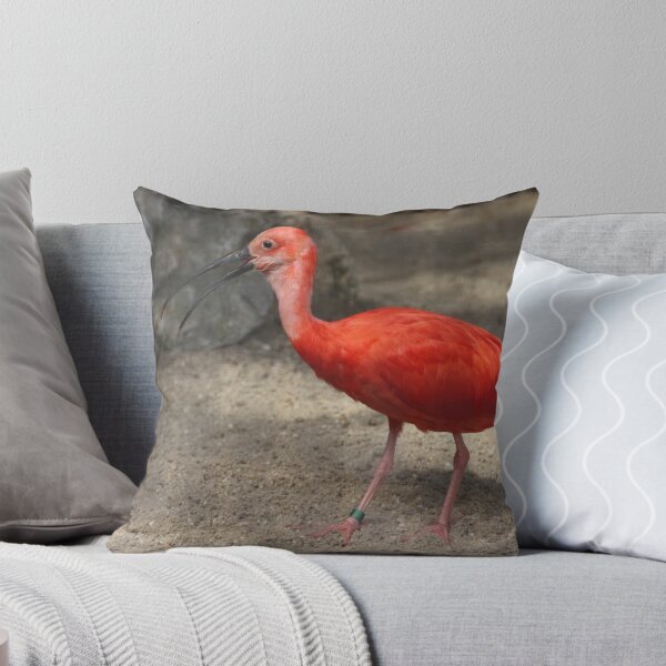 Item preview, Eudocimus ruber designed and sold by Mythos57.