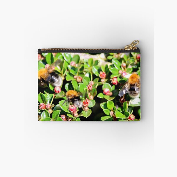 Item preview, Trio of Bumble Bees on Catonaster designed and sold by AnnDixon.