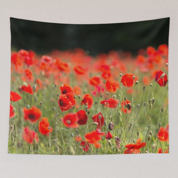 Aperçu de l'œuvre Poppies II créée et vendue par fourretout.