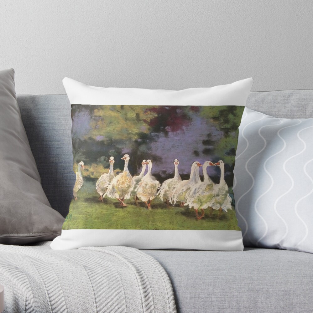 https://ih1.redbubble.net/image.848846942.8704/throwpillow,small,1000x-bg,f8f8f8-c,0,200,1000,1000.jpg