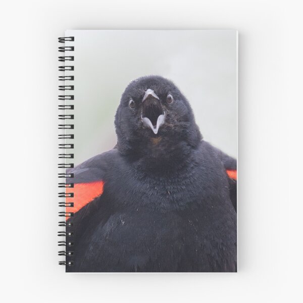 Item preview, Red-Winged Black Bird Singing designed and sold by WorldDesign.