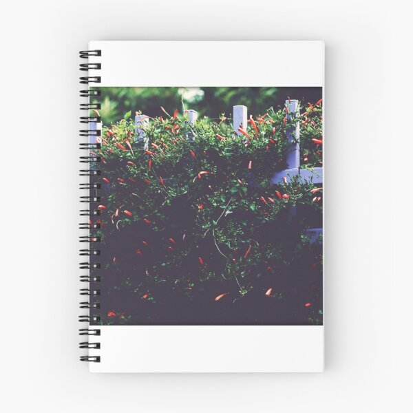 Item preview, Commemorate designed and sold by Melanie Uadjit.