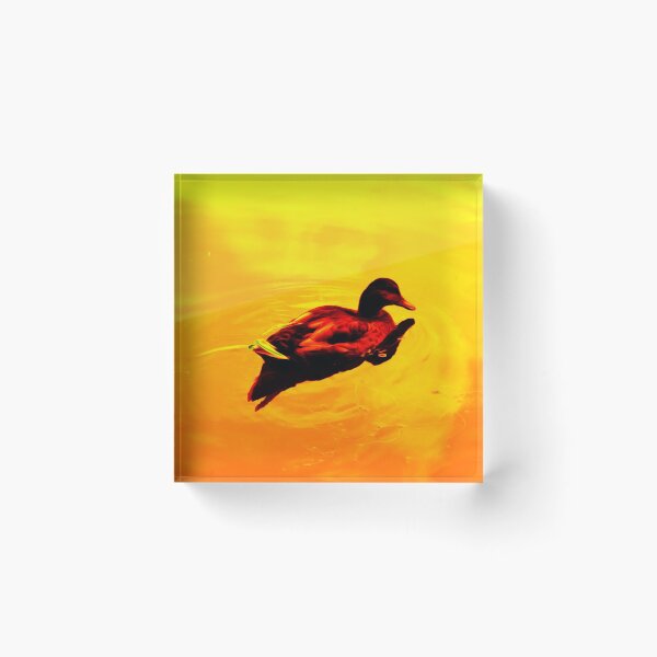 Item preview, Orange and red duck on water designed and sold by Olympia Ellinas.