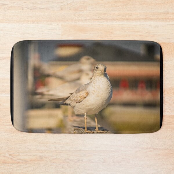 Item preview, Portrait of medium-sized gull designed and sold by KensLensDesigns.