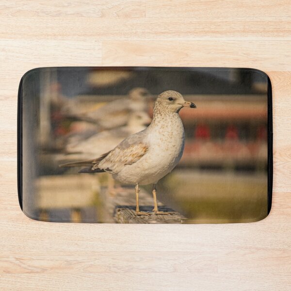 Item preview, Portrait of California gull designed and sold by KensLensDesigns.