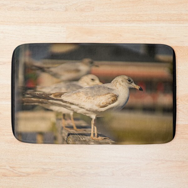 Item preview, Portrait of Larus californicus designed and sold by KensLensDesigns.
