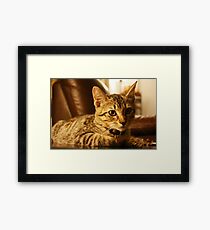 Boris Framed Print