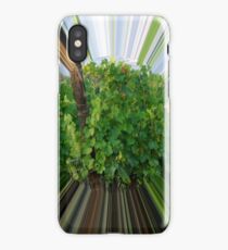 Vineyard iPhone Case