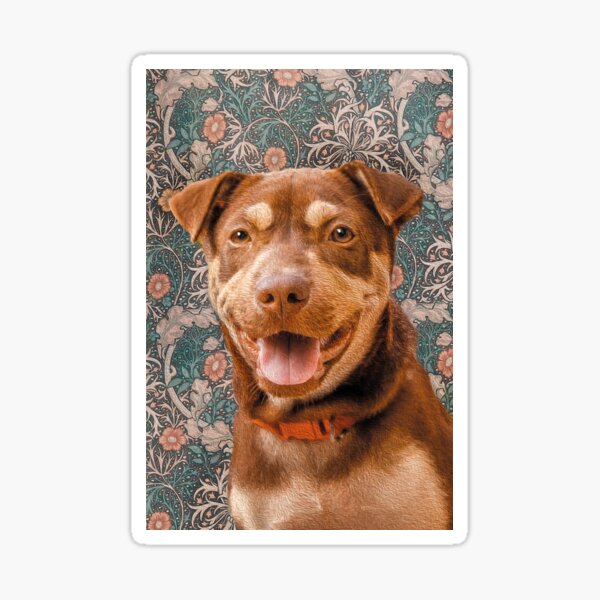 Morris - Maurice - The Chouchoukes Sticker