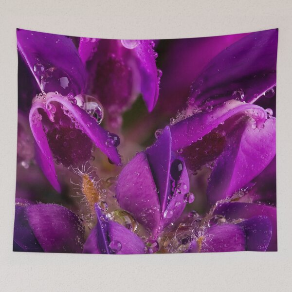 Item preview, Beautiful Purple Lupin flower close up with waterdrops  designed and sold by simonbratt.