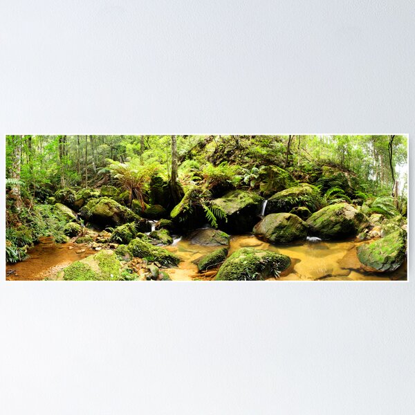 Item preview, Blue Mountains, New South Wales. designed and sold by Andy Newman.