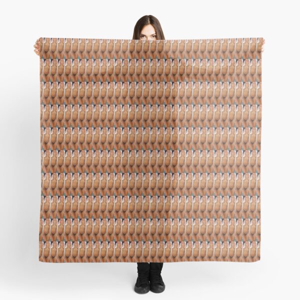 #Pattern, #design, #abstract, #wallpaper, vibrant color, color image, repetition Scarf