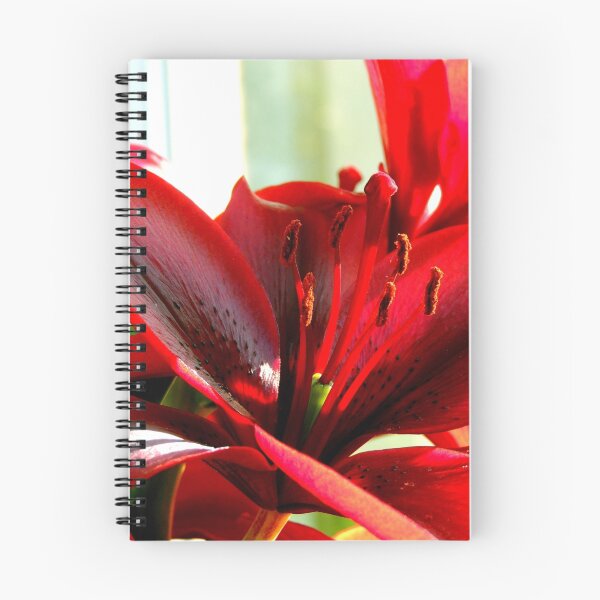Item preview, Red Lily Flower designed and sold by AndrewPS3Panda.