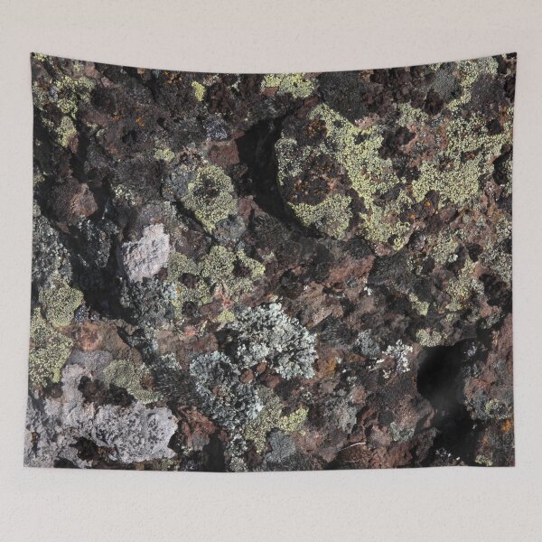 Item preview, Basalt with Lichen designed and sold by Feral Beagle LLC.