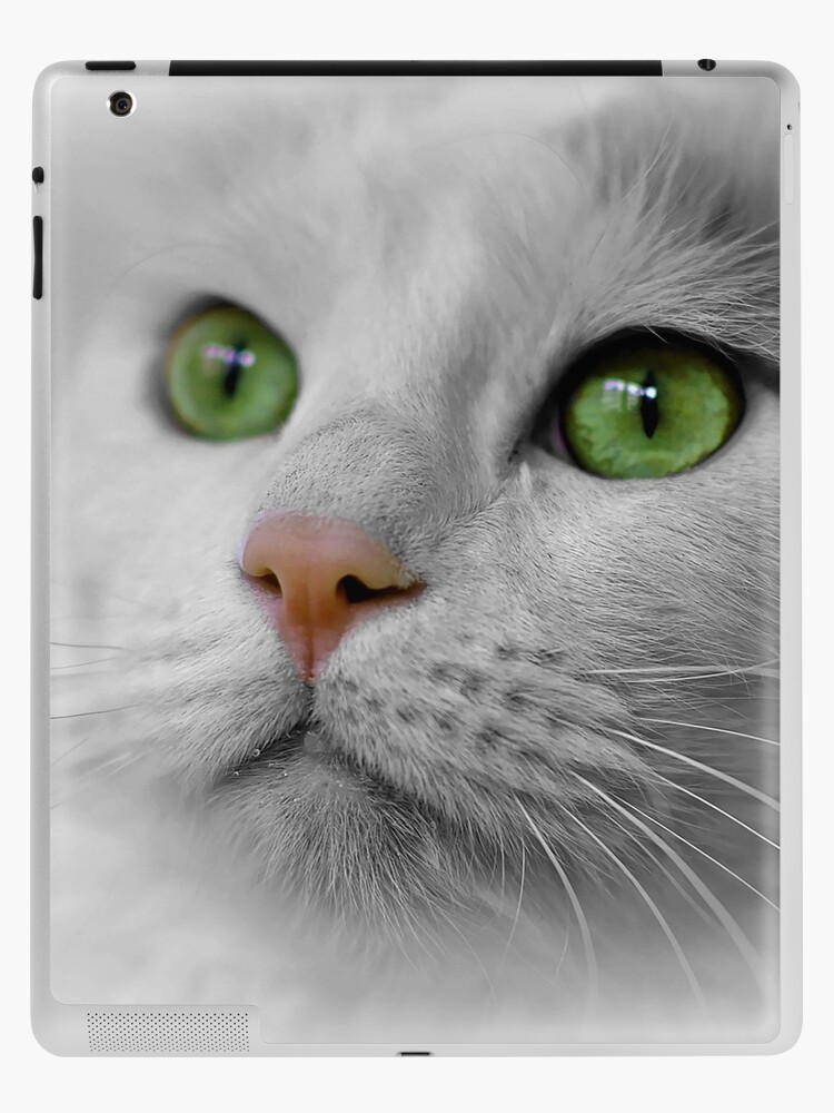 white cat with green eyes for sale