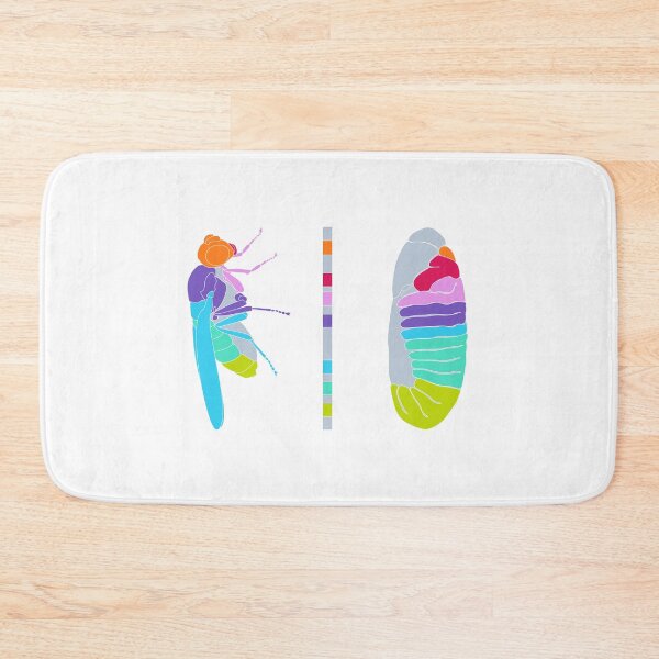 Item preview, Drosophila Hox Genes  designed and sold by thevexedmuddler.
