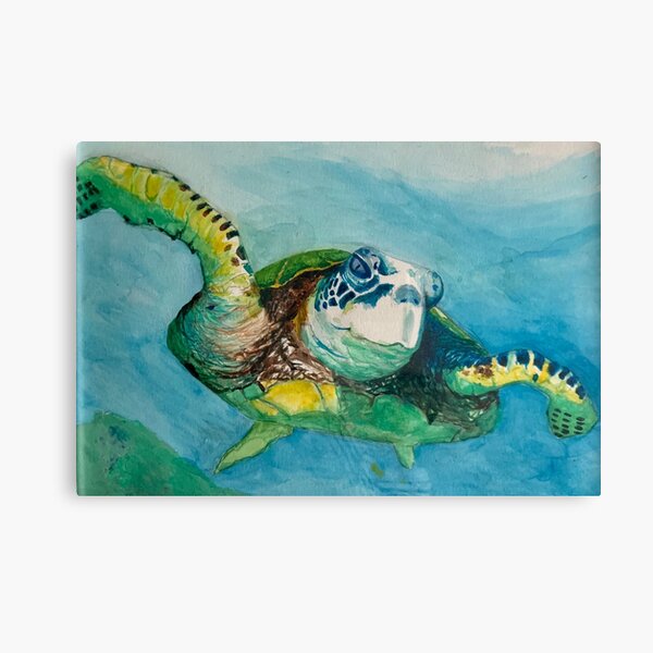 Sea Turtle Canvas Prints | Redbubble