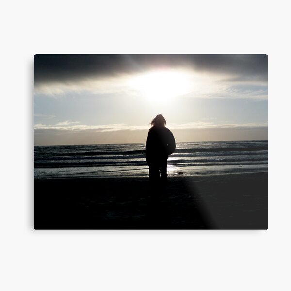 Journey Metal Print
