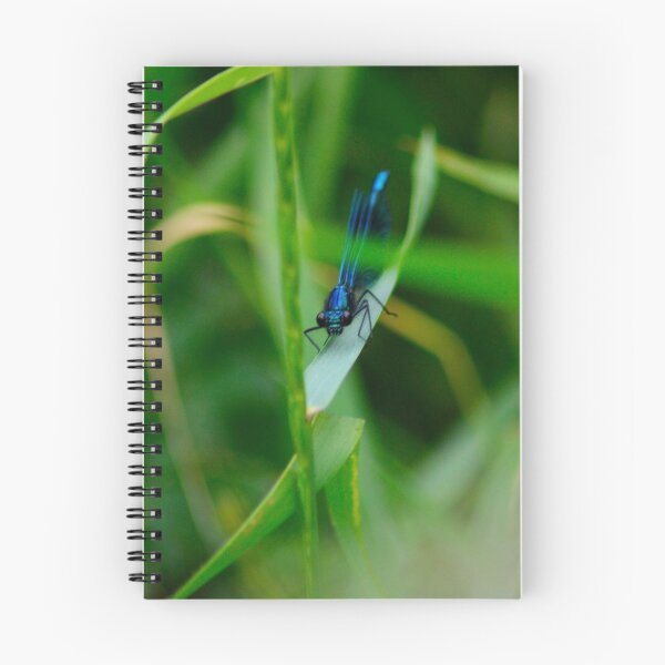 Aperçu de l'œuvre Electric Blue Dragonfly créée et vendue par Lauren Shawyer.