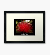 Red brush flower Framed Print