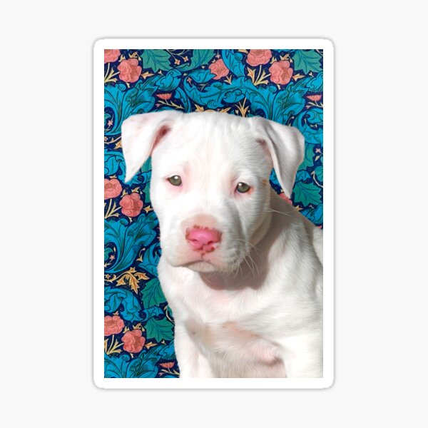 Morris - Snowball - The Chouchoukes Sticker
