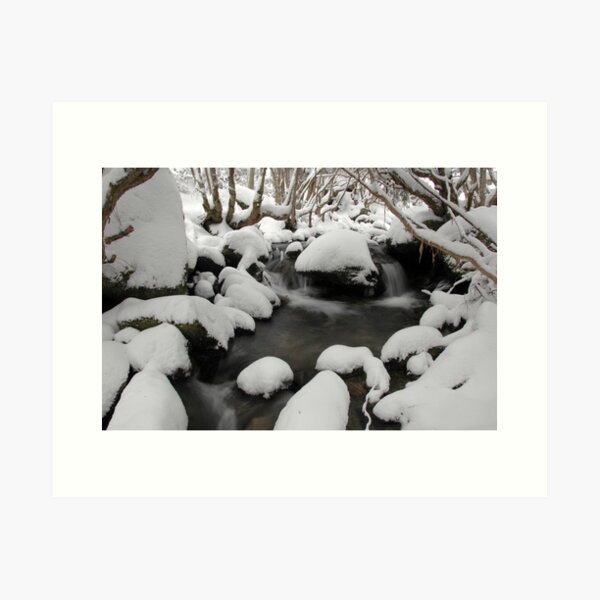 Item preview, Fresh Snowfall - Merritts Creek, Thredbo, Australia designed and sold by Mike Banks.