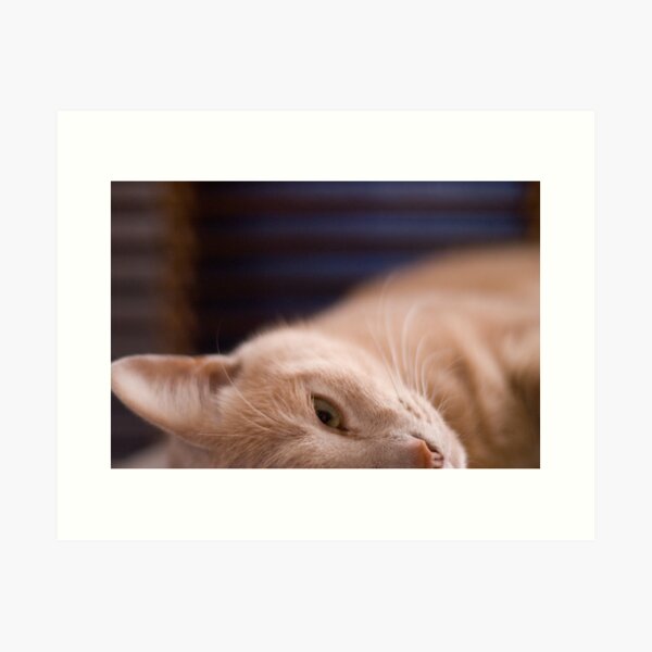 Item preview, I'm watching you designed and sold by Pedro Barradas.