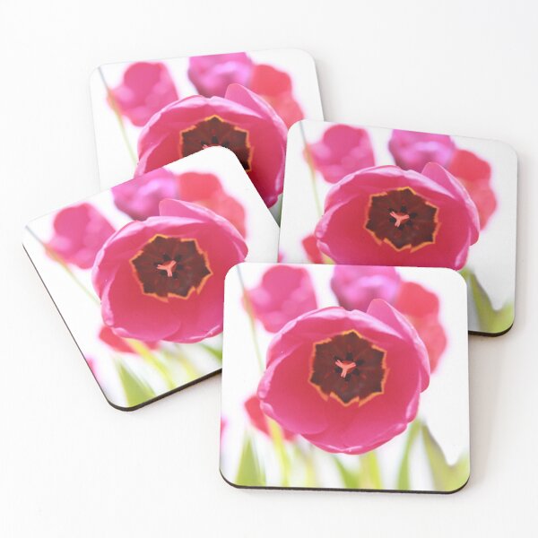 Bright Beginnings Coasters (Set of 4)