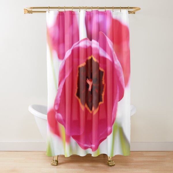 Bright Beginnings Shower Curtain