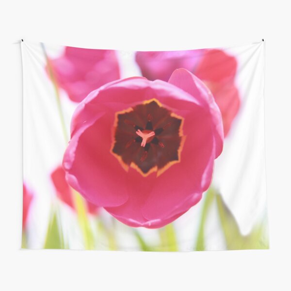 Bright Beginnings Tapestry