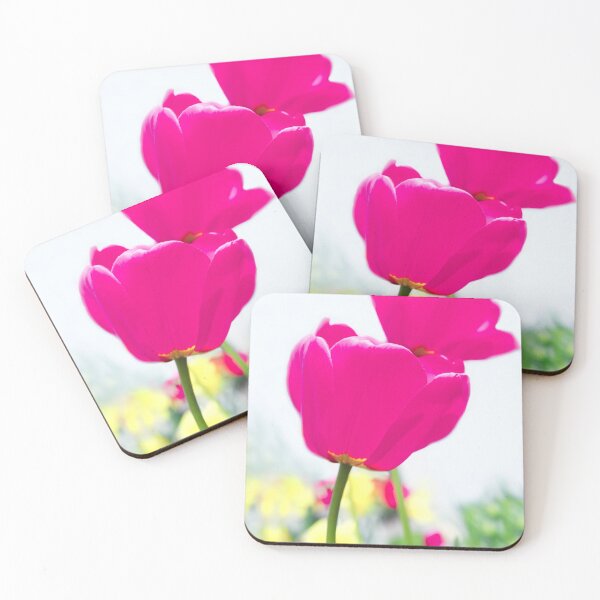 Hot Pink Prelude Coasters (Set of 4)