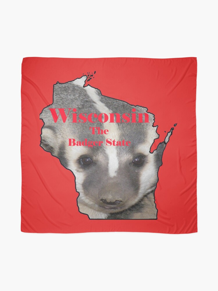 Wisconsin Map With Official State Nickname The Badger State Scarf By Havocgirl Redbubble